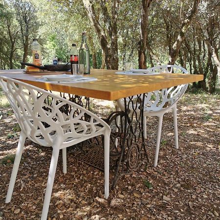 Gite Moderne En Drome Roche-Saint-Secret Екстериор снимка