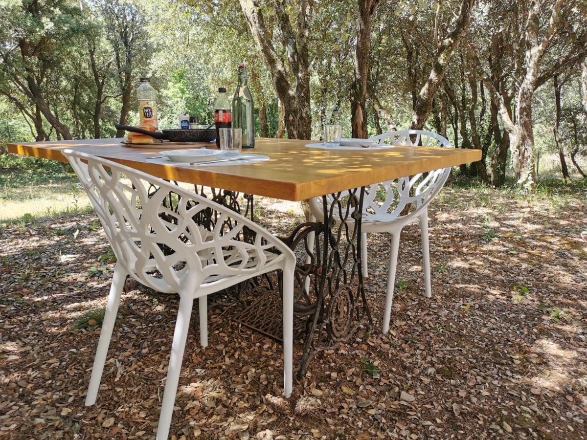 Gite Moderne En Drome Roche-Saint-Secret Екстериор снимка